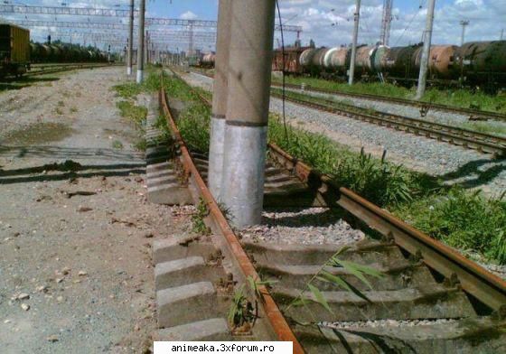 Imagini funny - Cred ca trenul va intarzia cateva minute - Imagini
